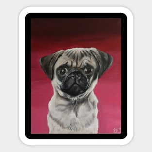 Pug Puppy Portrait Sticker